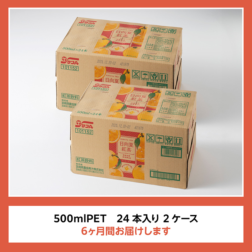 【6ヶ月定期便】サンA 日向夏 紅茶 HINATA TEA 500mlＰＥＴ 24本入り × 2ケース 【飲料 日向夏 紅茶 PET ジュース 長期保存 送料無料】