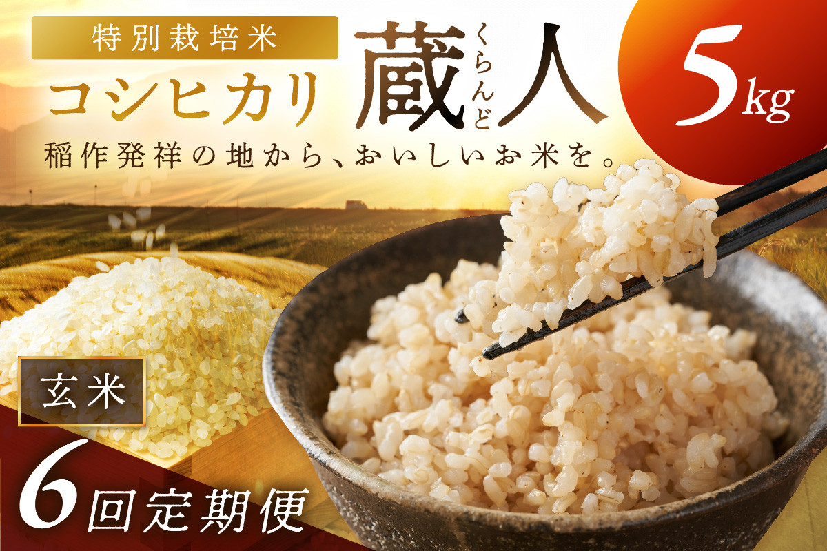 
                  玄米 5kg 2026年産 先行予約【定期便 6回】令和8年産 特別栽培米コシヒカリ 蔵人（くらんど） 玄米5kg　玄米 定期便 6回  GF00024
                