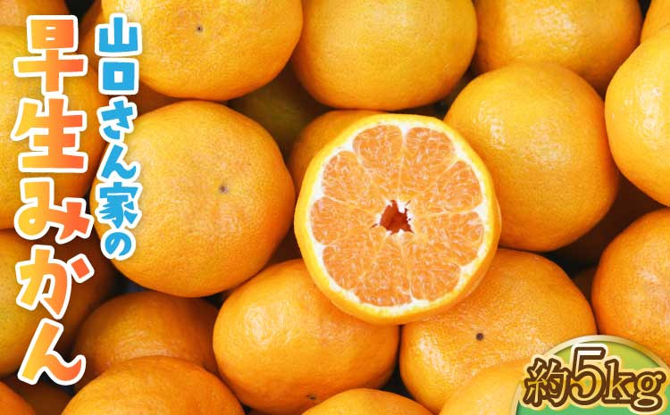 
            【先行予約】山口さん家の早生みかん 約5kg 【2025年10月上旬から11月下旬発送予定】柑橘 みかん 果物 フルーツ
          