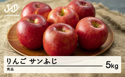 
                  2026年 山形県産 サンふじ りんご 5kg（15玉程度） 秀品 ※沖縄・離島への配送不可 sa-risfs5-b
                