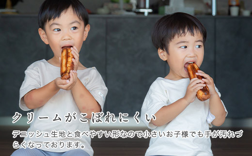 お任せ：【10本セット】 新食感!?シュークリーム シュッシュ 5種食べ比べ シューアイス お試し 抹茶ミルクいちごチョコキャラメルナッツコーティング お中元 スイーツギフト お取り寄せ 冷たい 夏 インスタ映え お菓子 贈り物 個包装 送料無料 お見舞い すぐ 届く