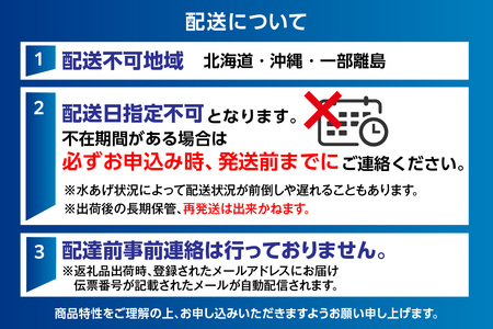 《先行予約》【訳あり】 ボイル 柴山がに（冷凍）900g～1kg 1匹 【令和8年11月上旬以降発送予定】 かに カニ  04-08