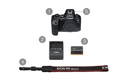 【Canon】 キヤノン ミラーレス カメラ EOS R6 MarkⅡ ボディ キャノン_0036C