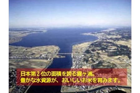 筑波山麓産米を中心に厳選した【茨城県産こしひかり】令和7年産白米5kg B07-014