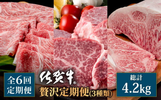 【肉のプロが厳選！】【6回定期便】佐賀牛 贅沢 定期便【株式会社いろは精肉店】牛肉 国産 肉 和牛 セット 冷凍 九州 [IAG075]