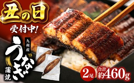 【丑の日 受付中！】鹿児島産 うなぎ 蒲焼 2尾セット  うなぎ うなぎ うなぎ うなぎ うなぎ