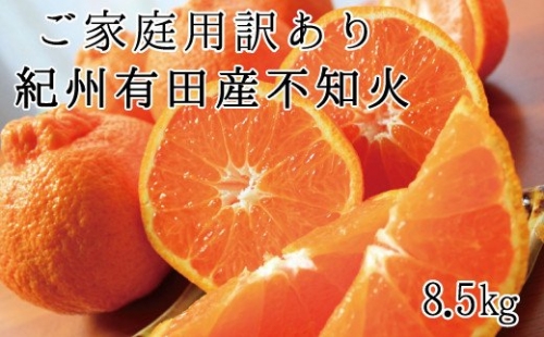 【ご家庭用】紀州有田産 不知火(しらぬひ) 約8.5kg 【予約】 訳あり ※2025年2月中旬頃～3月上旬頃に順次発送予定(お届け日指定不可)