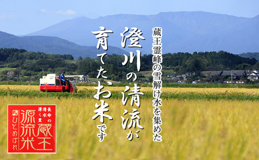 【5か月定期便】＜令和7年産米＞蔵王源流米ひとめぼれ5kg×5回（全25kg）　【04301-0163】