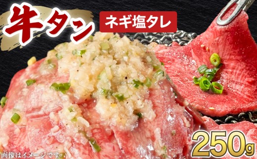 訳あり 牛タン 250g×1パック ネギ塩タレ漬け  【韓国焼肉 焼肉 焼き肉 BBQ 鉄板焼き 肉 お肉 牛肉 牛 たん 味付き タレ漬け 漬け込み肉 焼くだけ 簡単 冷凍 人気】 [058-a036]