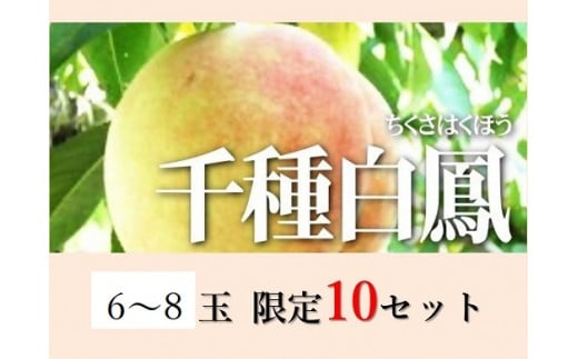 Cz-18　千種白鳳（6～8個・約2.0kg）化粧箱入り