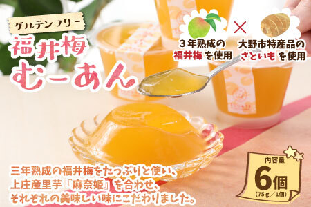 【アレルギー対応スイーツ】まなひめさまセットA（里芋ベースのゼリー風スイーツ&アレルギー特定原材料8品目不使用のアイス）