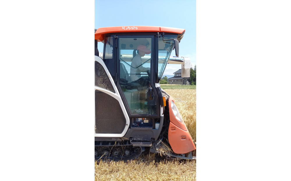 【令和7年産】みどりふぁーむのあきだわら玄米30kg