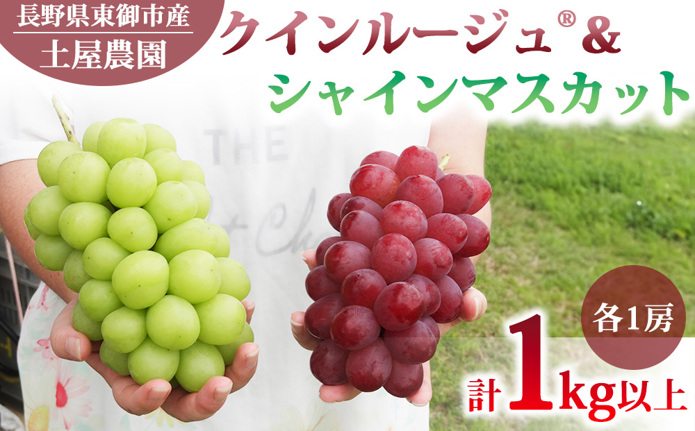 先行受付2025年発送【土屋農園】農家直送！クイーンルージュ(R)とシャインマスカットのセット1kg以上（各1房）※2025年9月下旬～10月中旬順次発送
