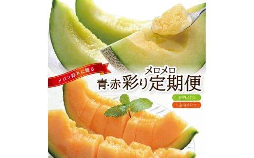 ≪2回定期便≫ メロン好きに贈る 青・赤彩りメロメロ定期便2026 6月下旬～7月上旬 庄内青肉メロン 約5kg（4～5玉) 7月中旬～7月下旬 庄内赤肉メロン 約5kg（4～5玉） 計2回 山形県酒田産 頒布会 食べ比べ 庄内砂丘 酒田 夏 旬 JAそでうら　SD0221