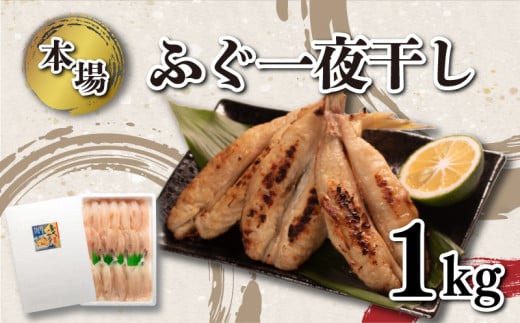 ふぐ 一夜干し 1kg セット 冷凍 小ふぐ シロサバフグ 下関 山口 ふぐ特集 秋 冬