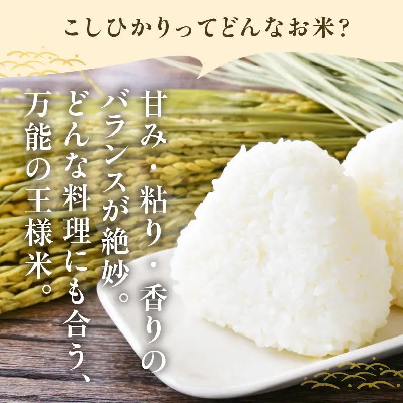 東浦町産　こしひかり　約10kg（5kg×2袋）│米 お米 コメ 白米 精米 新米 愛知県産