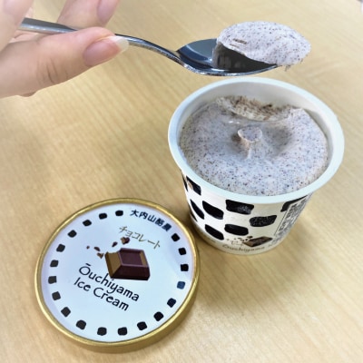 大内山アイスクリーム　チョコレート8個【khy013B】