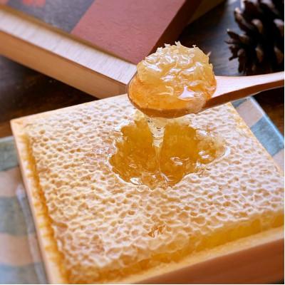 ふるさと納税 広川町 国産　極巣みつ　620g(310g×2個)(広川町) |  | 03