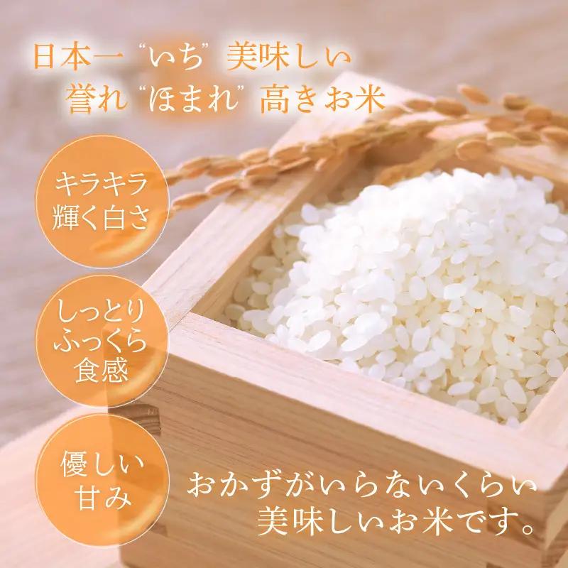 【令和7年産】いちほまれ 精米 10kg 特A 福井県 ブランド米 白米 [e27-b016]