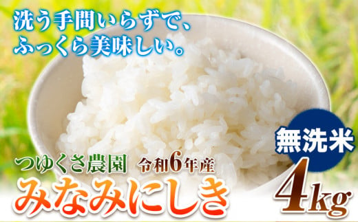 新米 令和6年産 みなみにしき 無洗米 4kg  熊本県 荒尾市産 つゆくさ農園 米 選べる 《30日以内に出荷予定(土日祝除く)》 米 こめ コメ 白米