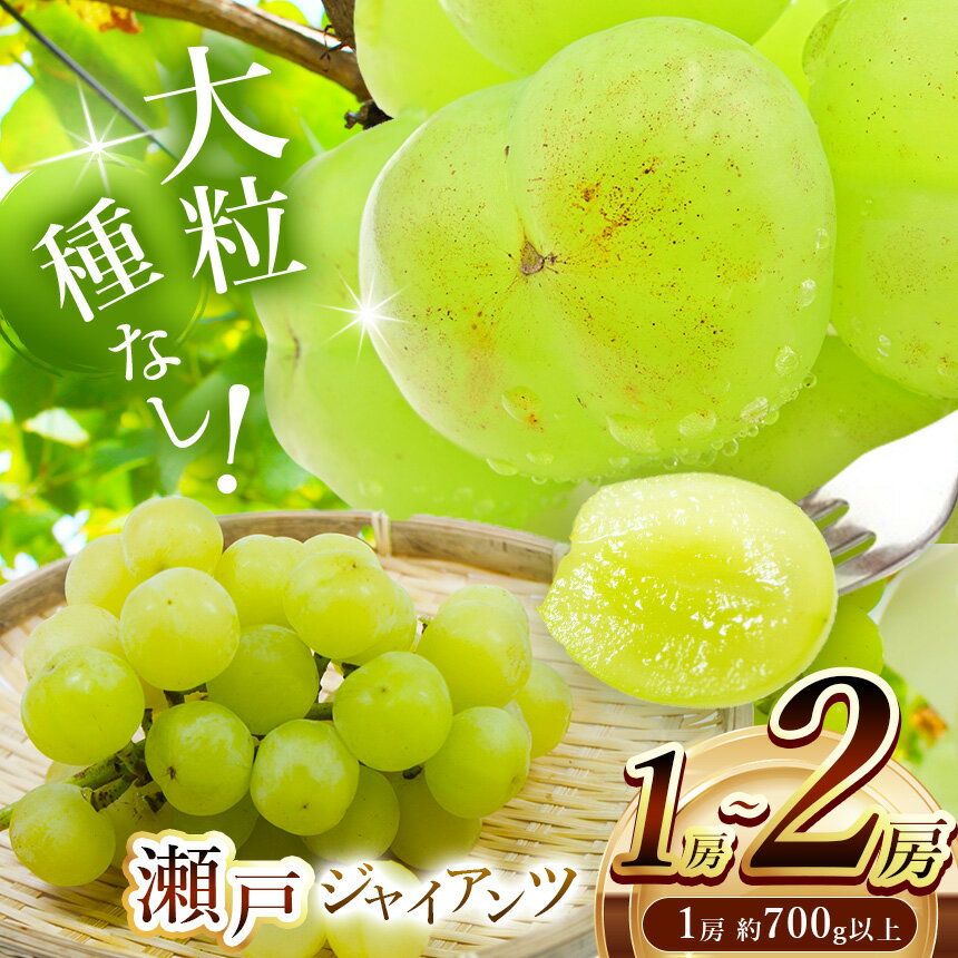 【先行予約】【ふるさと納税】【選べる内容量】瀬戸ジャイアンツ 2房 / 1房 (1房約700g～) | 果物 くだもの フルーツ ぶどう ブドウ 葡萄 兵庫県 上郡町【発送は2026年9月1日～2026年9月30日頃予定】