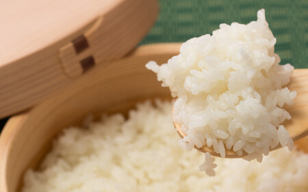 【定期便3ヶ月】秋田県産米「あきたこまち（無洗米）」 10kg（5kg×2袋）　420P9203