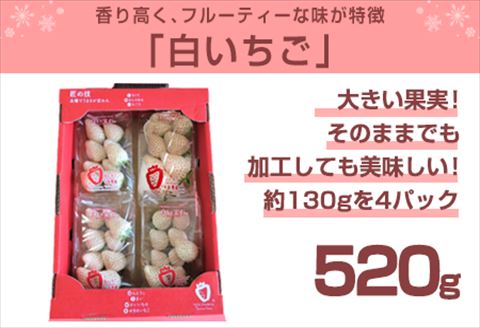 『先行予約』【令和7年2月上旬から4月下旬までにお届け】白い宝石 白いちご 約130g×4P(合計約520g) ご自宅用 いちご イチゴ 苺 贈答 フルーツ 果物 希少