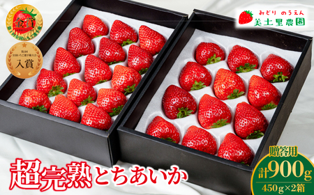 いちご【2月以降発送】とちあいか ギフト 900g | イチゴ 栃木県 茂木町 