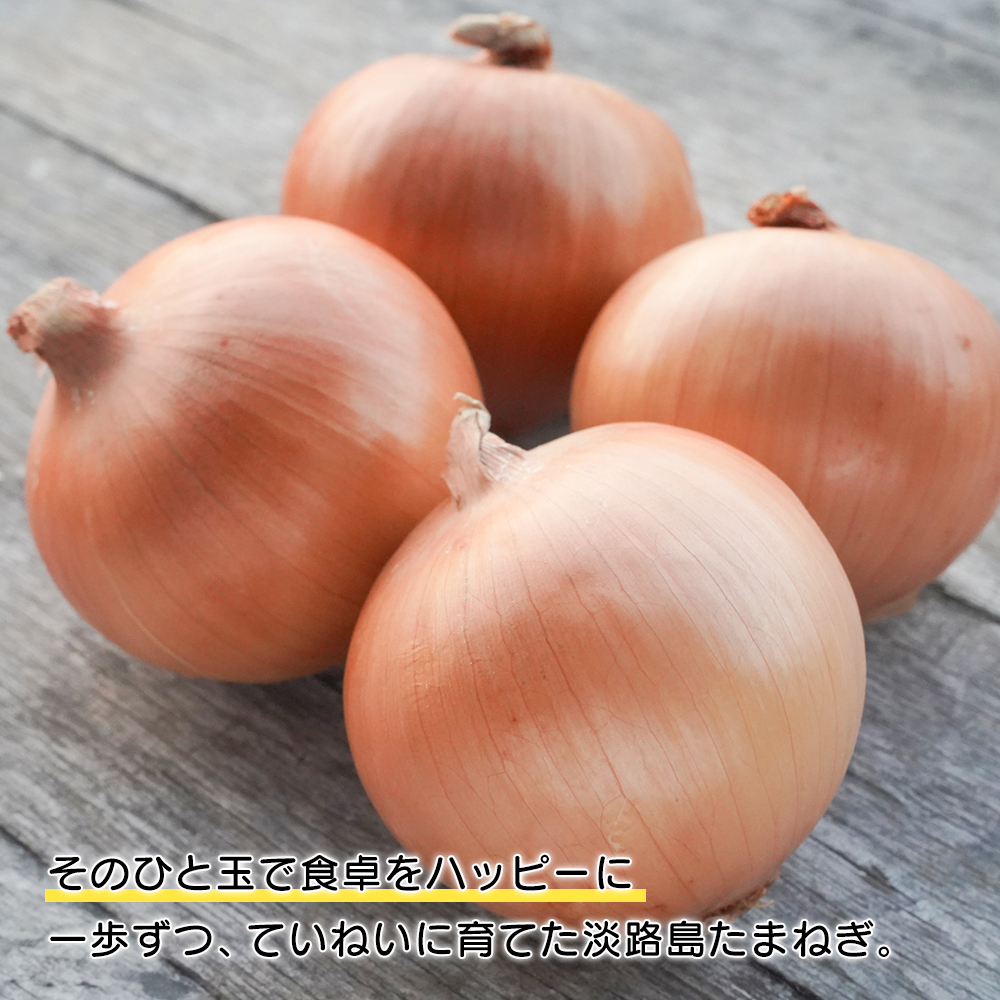 【新たまねぎ】淡路島たまねぎ 歩-AYUMU- 10kg【発送時期：2025