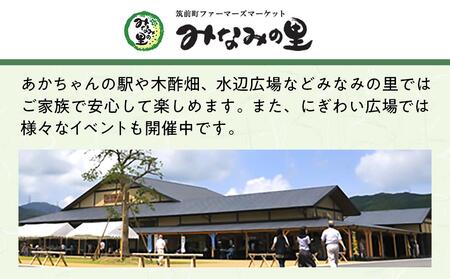 天然すっぽん鍋【1～2人前】