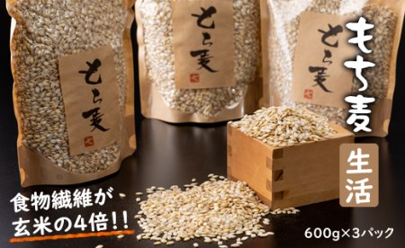 もち麦（600g×3パック）  B120-024