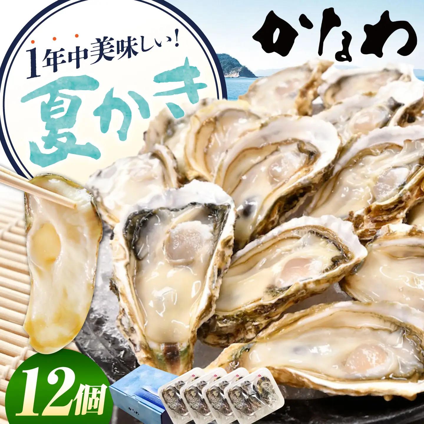 生牡蠣夏かき12個 牡蠣[XBP013]