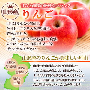 山形ラ・フランスとりんごのセット 秀品 約3kg FZ22-131