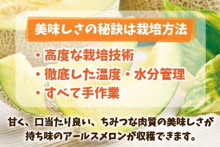 【先行予約】これぞメロンの王様！ 「アールスメロン」 2玉 【2024年9月上旬以降順次発送予定】 [A-1002]