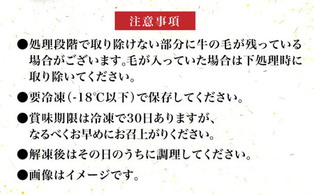 【化粧箱入】博多和牛 牛すじ切落し 1kg《築上町》【株式会社マル五】 [ABCJ027] 牛すじ煮込み 牛すじカレー 牛すじおすすめ 人気牛すじ 牛すじラーメン 牛すじ丼 牛すじ味噌煮 牛すじ炒め 