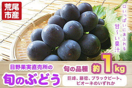 【先行予約】ぶどう 約1kg 旬の品種(巨峰 または 藤稔 または ブラックビート または ピオーネ) フルーツ 果物 新鮮 《8月上旬-9月上旬頃出荷》目野果実直売所 熊本県 荒尾市産
