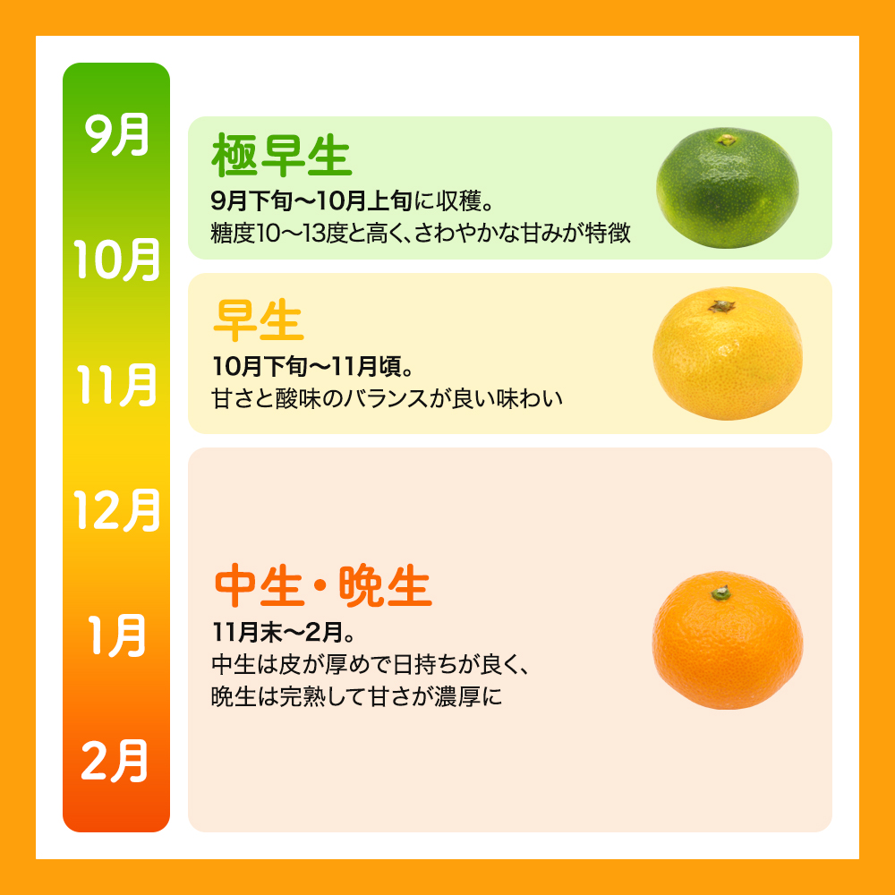  【和歌山県産】訳あり 温州みかん 1kg お試しに♪ (早生・中生・晩稲)【S～2Lサイズおまかせ】【2026年10月中旬～2027年2月下旬頃までに順次発送】＜味好農園＞/ 「おてんば娘」みかん 