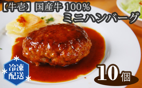 
No.198 【牛壱】国産牛100％ミニハンバーグ10個　75ｇ×10個 ／ 挽肉 自家製タレ 大阪府
