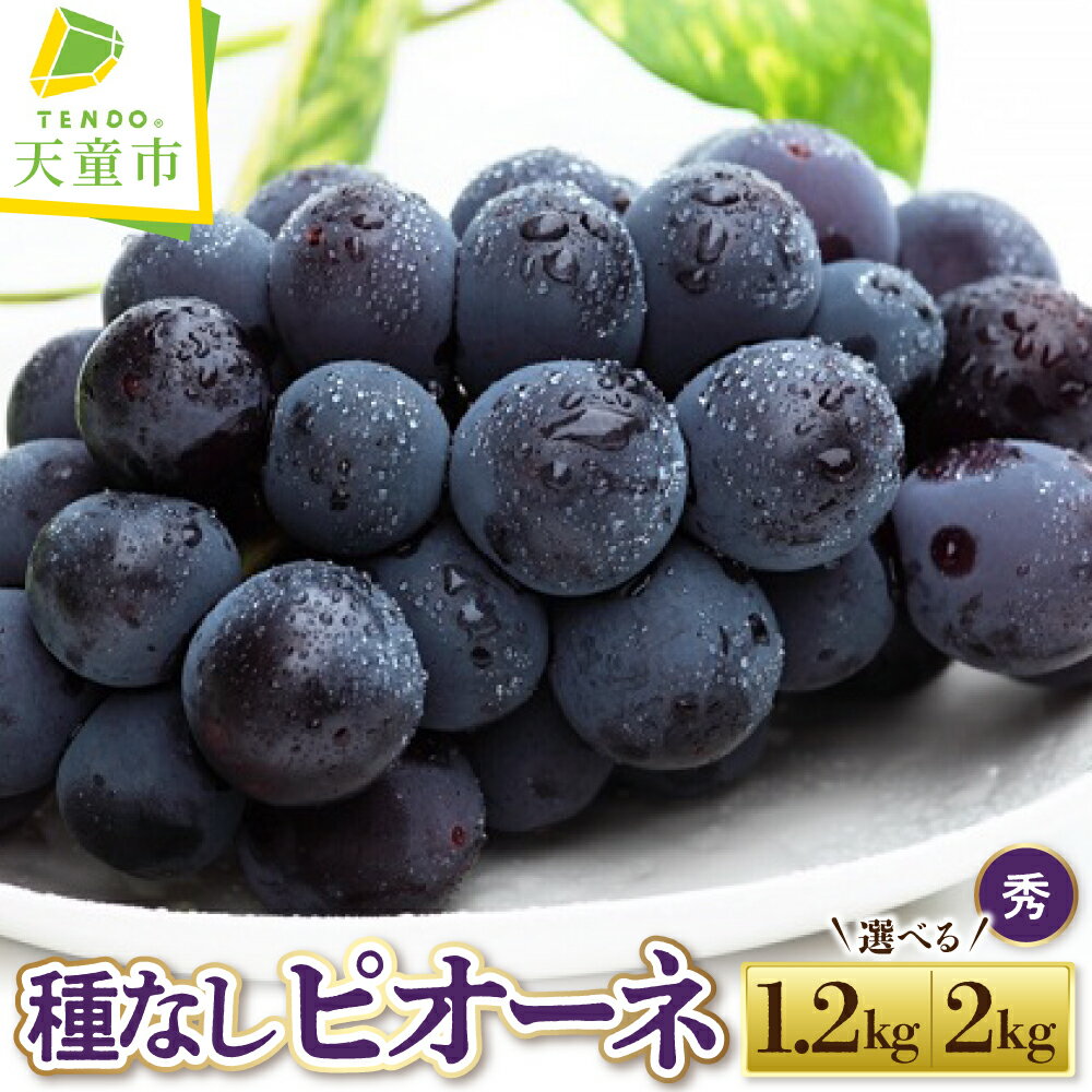 【ふるさと納税】ぶどう ( 種なし ピオーネ ) 選べる 1.2kg / 2kg 令和8年産 先行予約 2026年 山形県産 葡萄 果物 フルーツ のし 贈答 ギフト プレゼント おすそ分け 秋 旬 期間限定 冷蔵便 送料無料 産地直送 お取り寄せ 【 山形県 天童市 】
