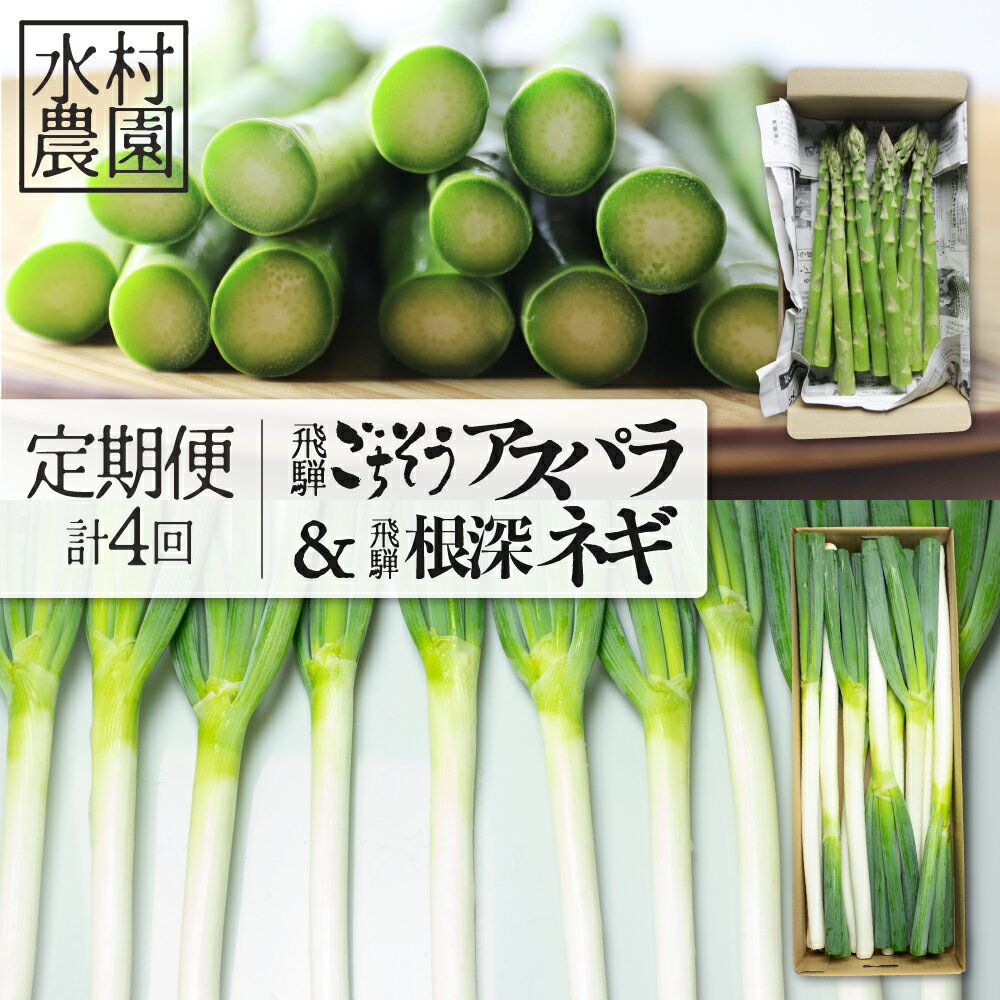 【ふるさと納税】《定期便》アスパラ＆ネギ4回定期便 水村農園 飛騨産 旬の野菜 定期便 お楽しみ[Q548] 《hida0307》