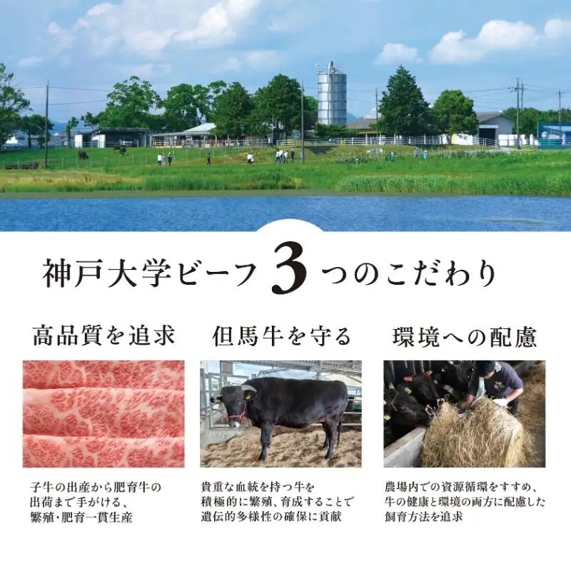神戸牛 神戸大学ビーフ 希少部位 焼肉用 神戸牛【300g】