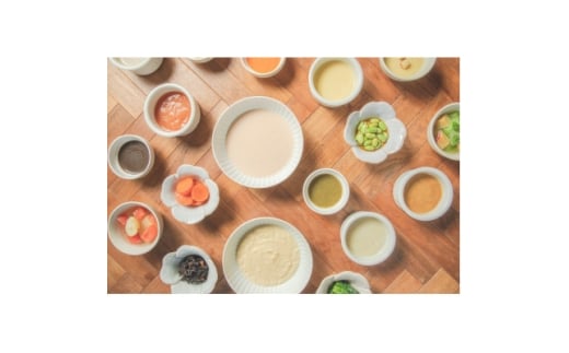 介護用GSミキサー食・2週間セット(3食×14日間分)【1650124】