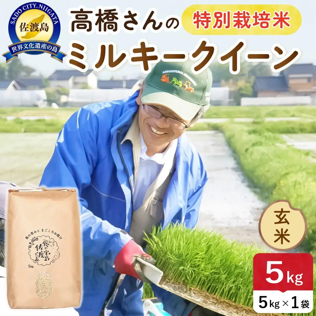 令和8年産 佐渡島産ミルキークイーン 玄米5kg 特別栽培米