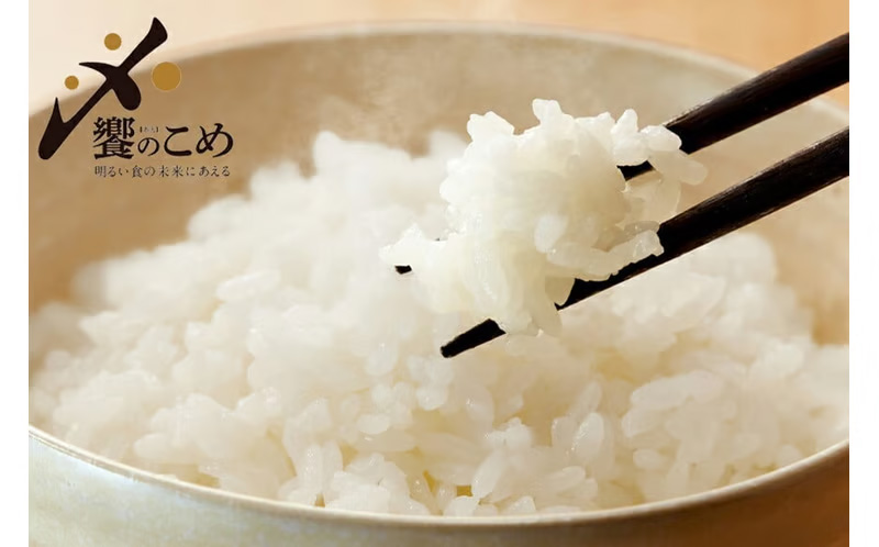 【3回 無洗米 定期便 】〈2026年3月より初回出荷〉石川県産 こしひかり 5kg×3回 総計15kg [中橋商事 石川県 宝達志水町 38601336] 米 お米 白米 精米 ご飯 ごはん_イメー
