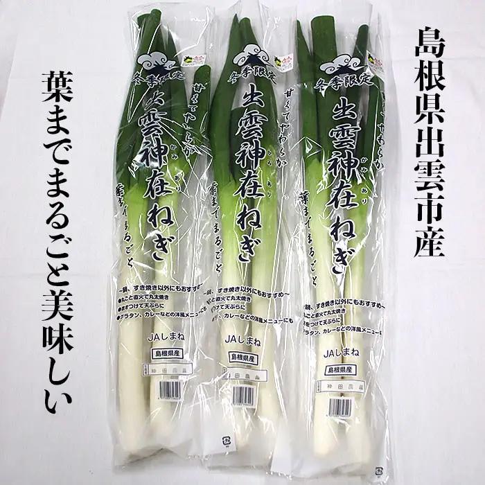 出雲神在（かみあり）ねぎ