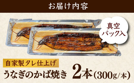 魚 鰻のかば焼き 2本 [AIEH005]うなぎ