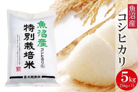 魚沼産コシヒカリ 特別栽培米5kg 新潟県認証米 令和5年産