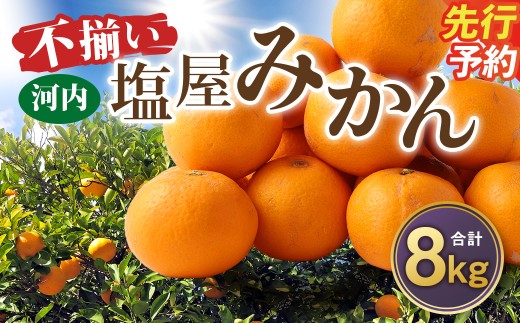 ＜ R8年熊本地震復興支援 ＞＜2026年11月発送予定＞【不揃い】選べる 河内 塩屋みかん 8kg 早生みかん 熊本 国産 みかん 蜜柑 ミカン 果物 くだもの フルーツ
