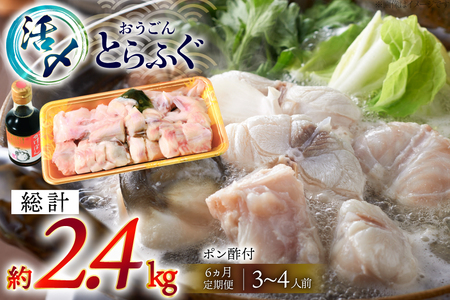 ふぐ 鍋 セット 活〆 おうごんとらふぐ 鍋セット 約400g 6回 定期便 総計 約2.4kg [松永水産 長崎県 平戸市 hr42bgy400159]