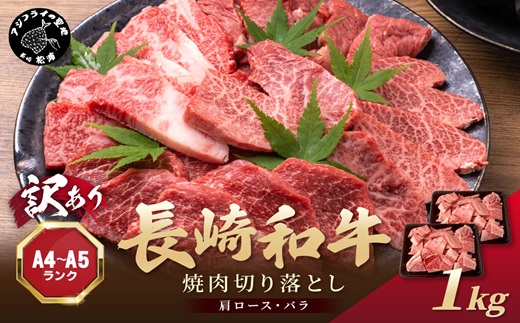 訳あり！【A4〜A5】長崎和牛焼肉切り落とし(肩ロース・バラ)1kg(500g×2P)( 牛肉 おすすめ 長崎和牛 バーベキュー 焼肉 切り落とし 冷凍 国産 送料無料 )【C0-063】